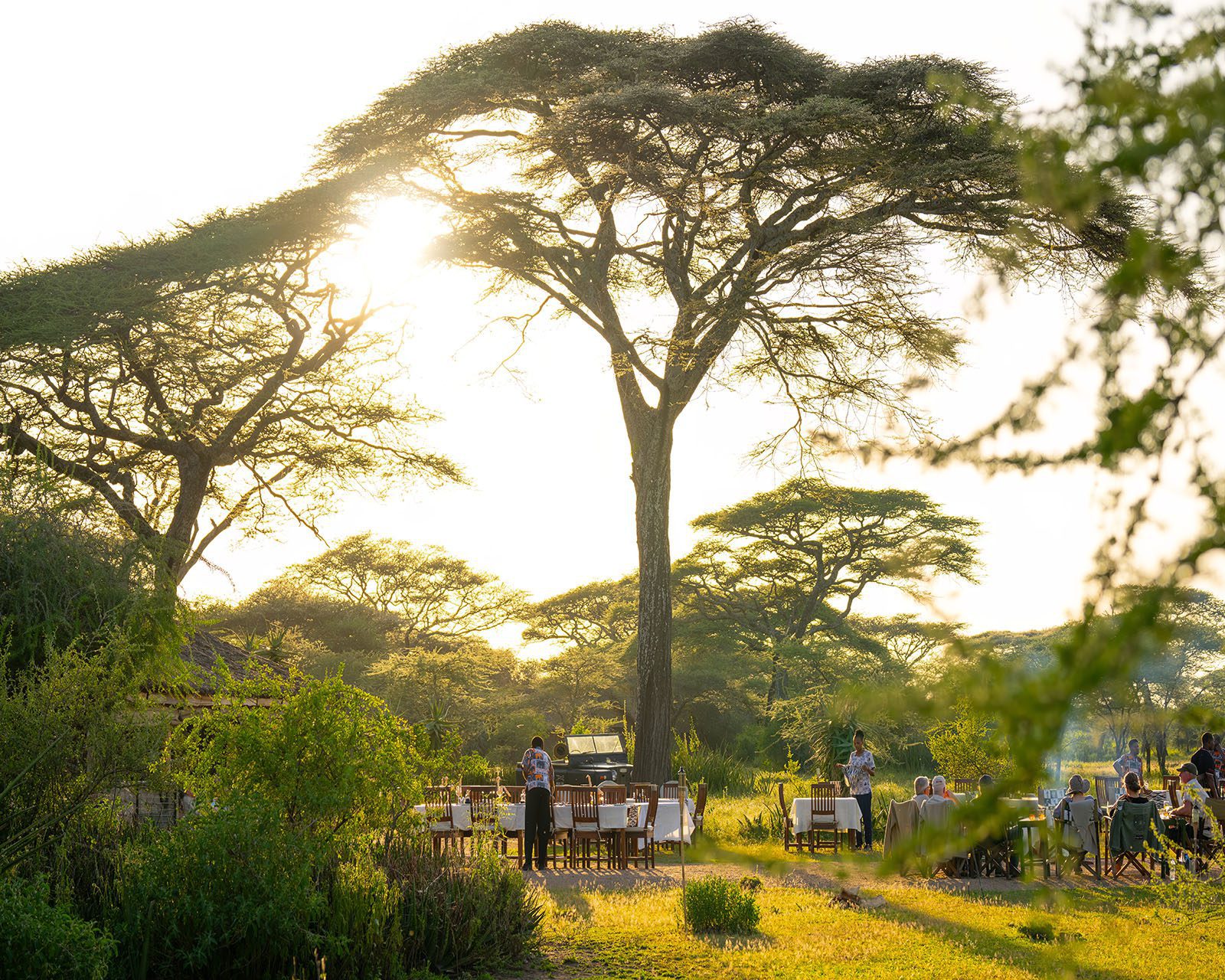 Ndutu Safari Lodge 4 Ndutu Feb 24 Mixed 33
