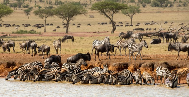 Grumeti Game Reserve