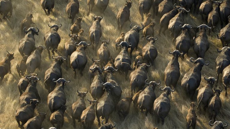 Destinations 21 Katavi National Park