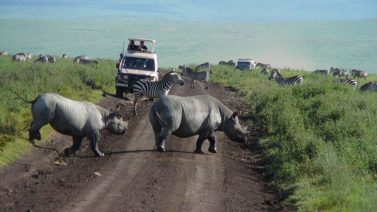 Ngorongoro Conservation Area