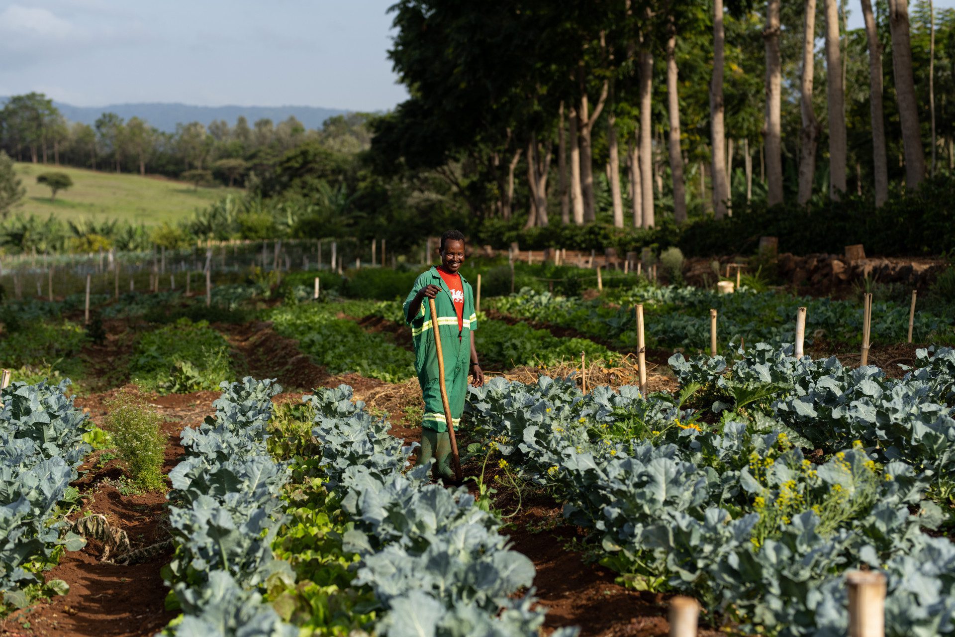Ngorongoro Farm House 3 ngorongorofamr1117